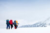 Handelskammerjournal-Expedition-Schweizer-Onlinehandel