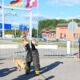 Vorführung bei der Autobahn-Zollstelle Basel Weil am Rhein mit Drogenhund