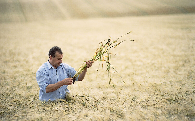 Globale-Ernährungssicherheit-als-Herausforderung Globale-Ernährungssicherheit-als-Herausforderung
